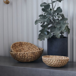 Brødkurv i vandhyacint.