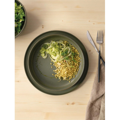 ASA skål eller tallerken.