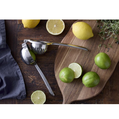 Citruspresser i rustfrit stål.